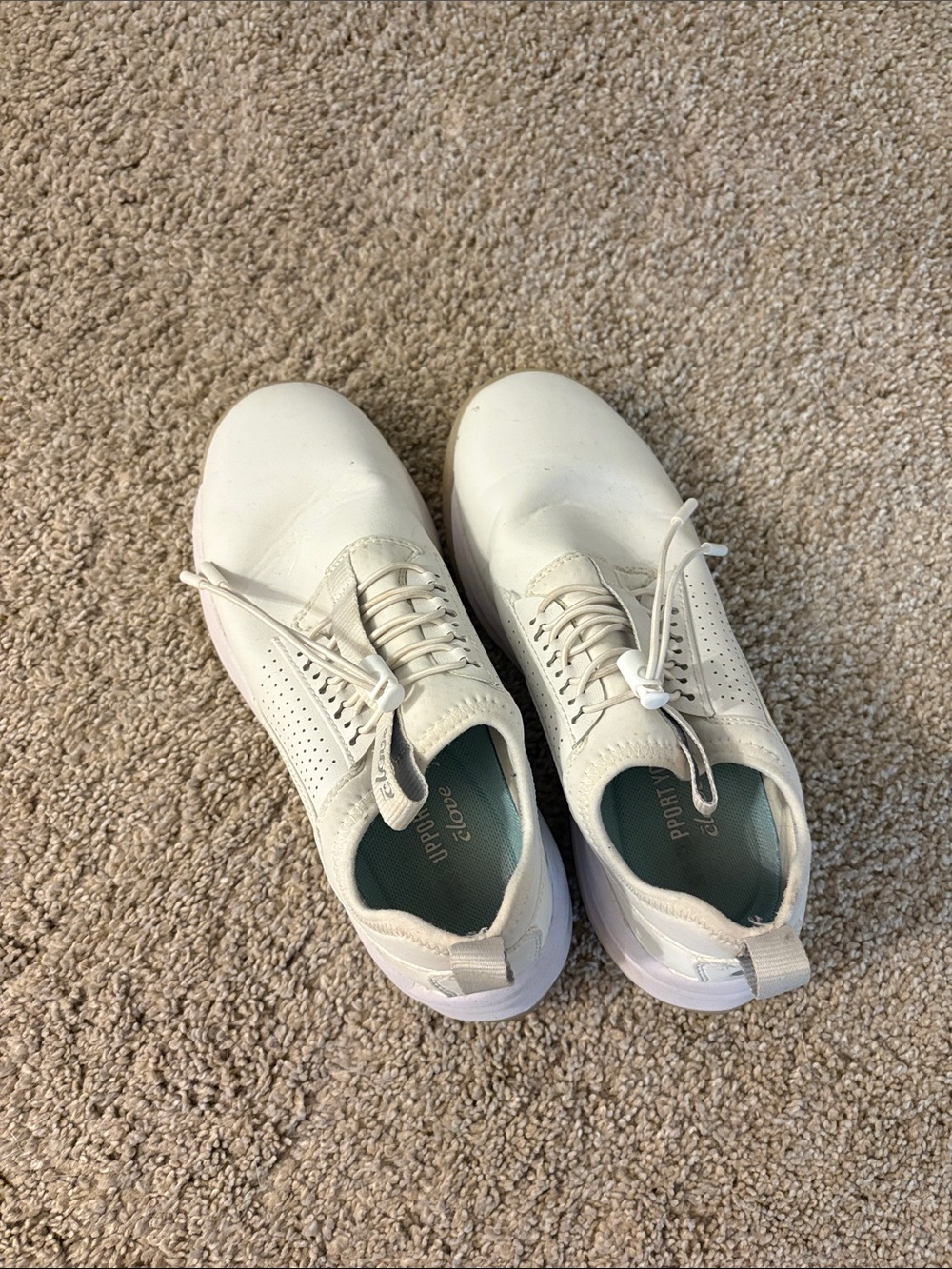 Clove Women’s 6